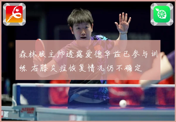 森林狼主帅透露爱德华兹已参与训练 右膝炎症恢复情况仍不确定