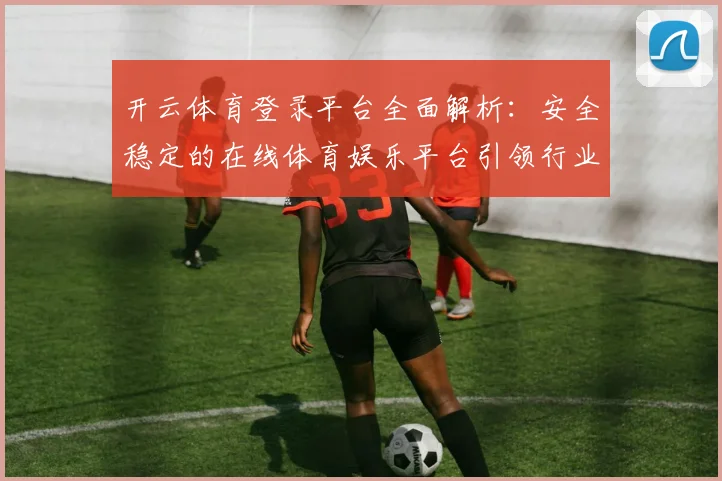 开云体育登录平台全面解析：安全稳定的在线体育娱乐平台引领行业发展