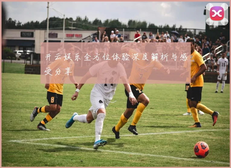 开云娱乐全方位体验深度解析与感受分享